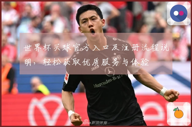 世界杯买球官方入口及注册流程说明，轻松获取优质服务与体验