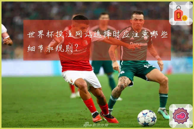 世界杯投注网站选择时应注意哪些细节和规则？