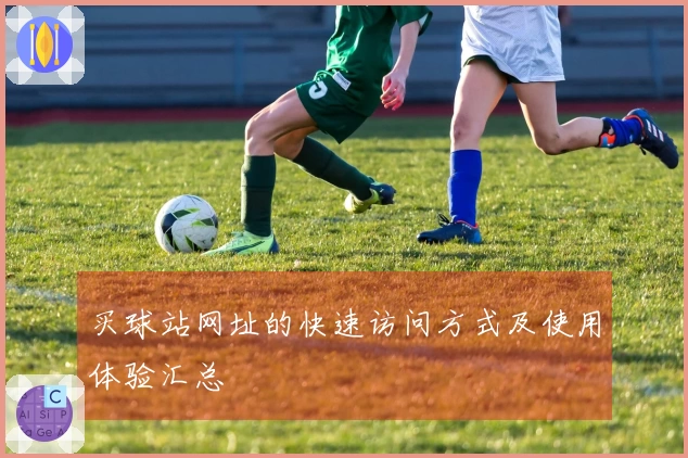 买球站网址的快速访问方式及使用体验汇总