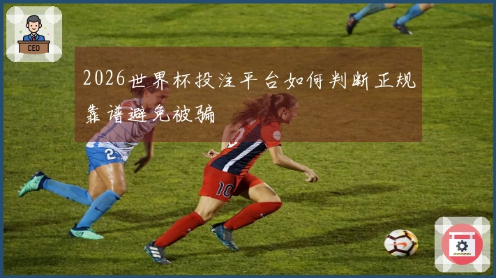 2026世界杯投注平台如何判断正规靠谱避免被骗