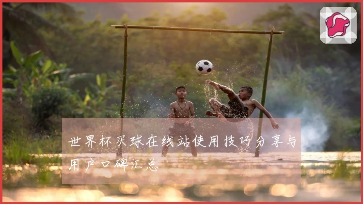 世界杯买球在线站使用技巧分享与用户口碑汇总