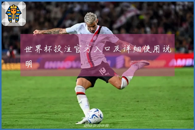 世界杯投注官方入口及详细使用说明