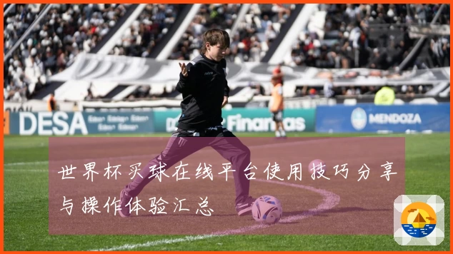 世界杯买球在线平台使用技巧分享与操作体验汇总