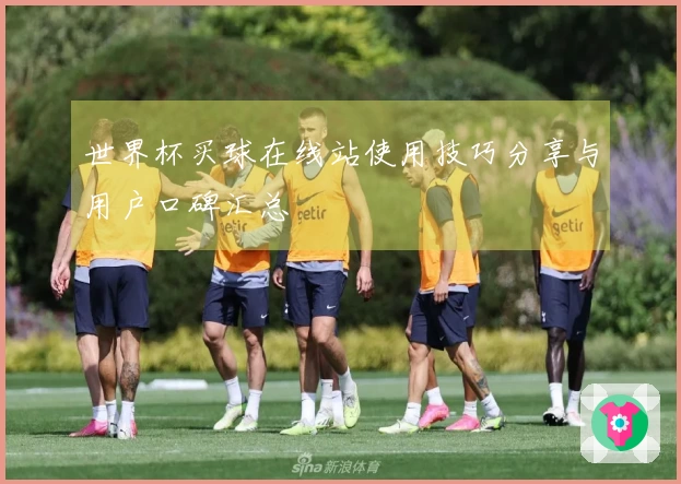 世界杯买球在线站使用技巧分享与用户口碑汇总