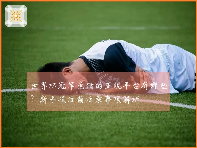 世界杯冠军竞猜的正规平台有哪些？新手投注前注意事项解析