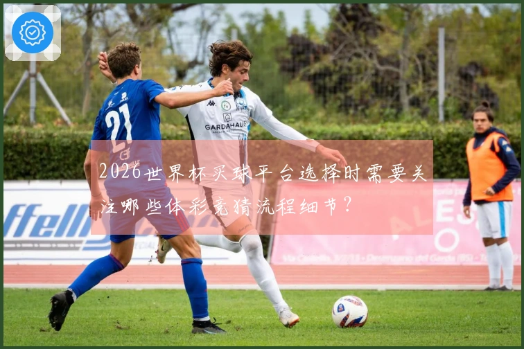 2026世界杯买球平台选择时需要关注哪些体彩竞猜流程细节？