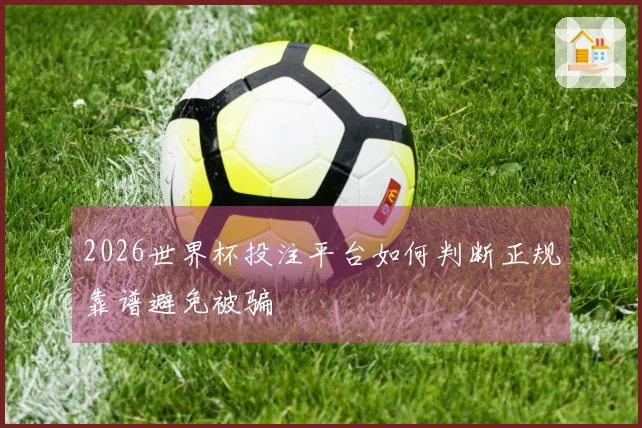 2026世界杯投注平台如何判断正规靠谱避免被骗