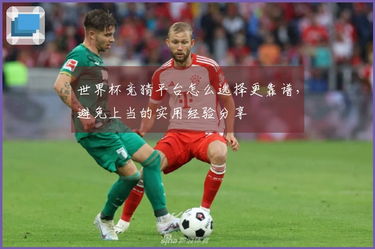 世界杯竞猜平台怎么选择更靠谱，避免上当的实用经验分享